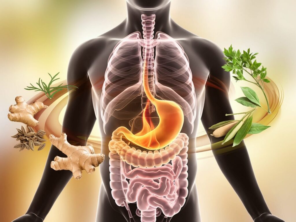 Il ruolo di Agni, il fuoco digestivo, in Ayurveda: perché una buona digestione è fondamentale